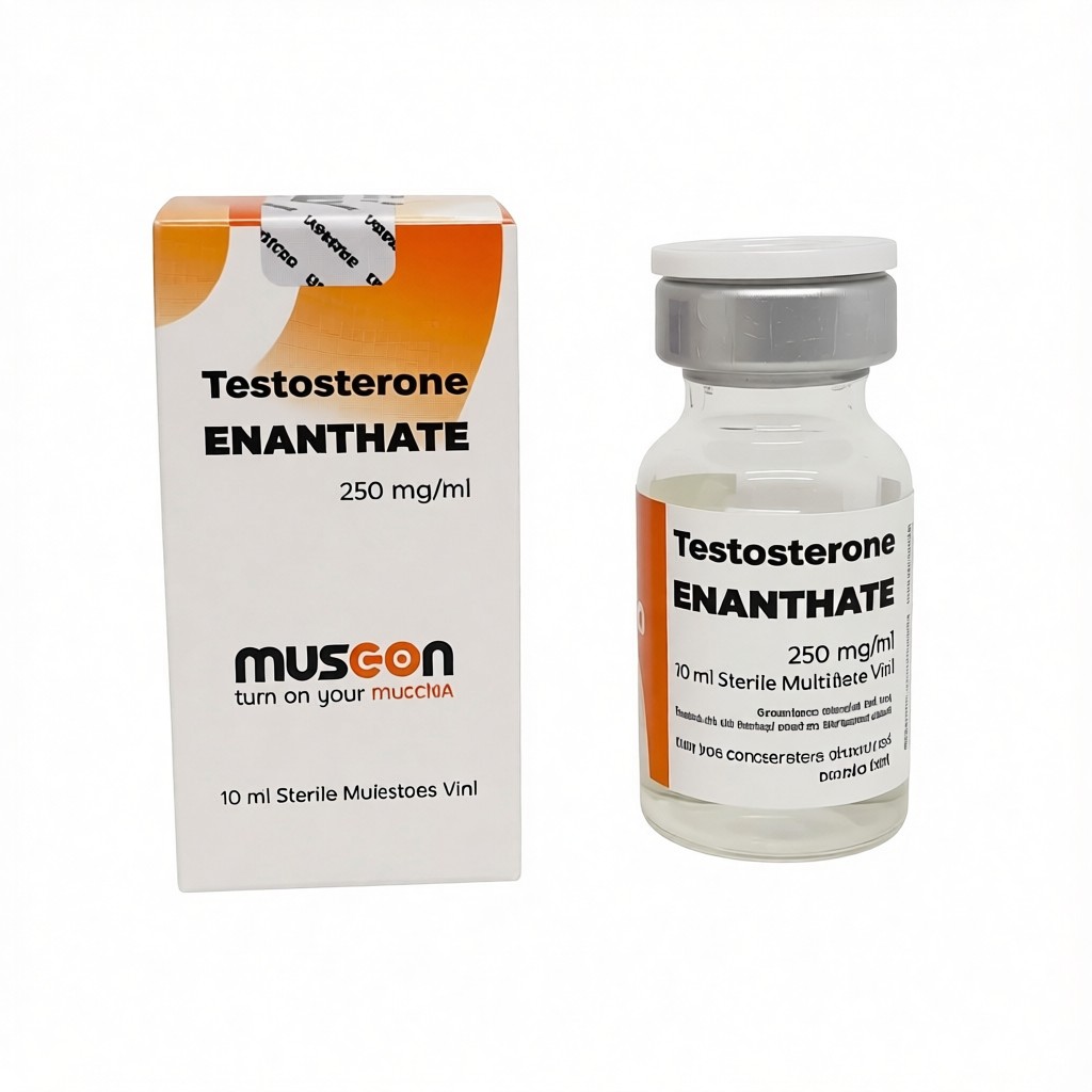 Musc-on Testosterone Enanthate 250mg/ml - цена за 10 мл