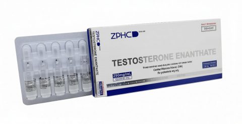 ZPHC NEW TESTOSTERONE E 250мг/мл - цена за 10 ампул.
